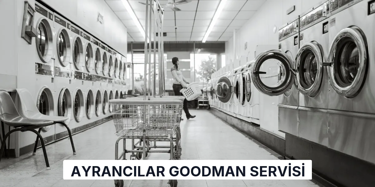 Ayrancılar Goodman Servisi