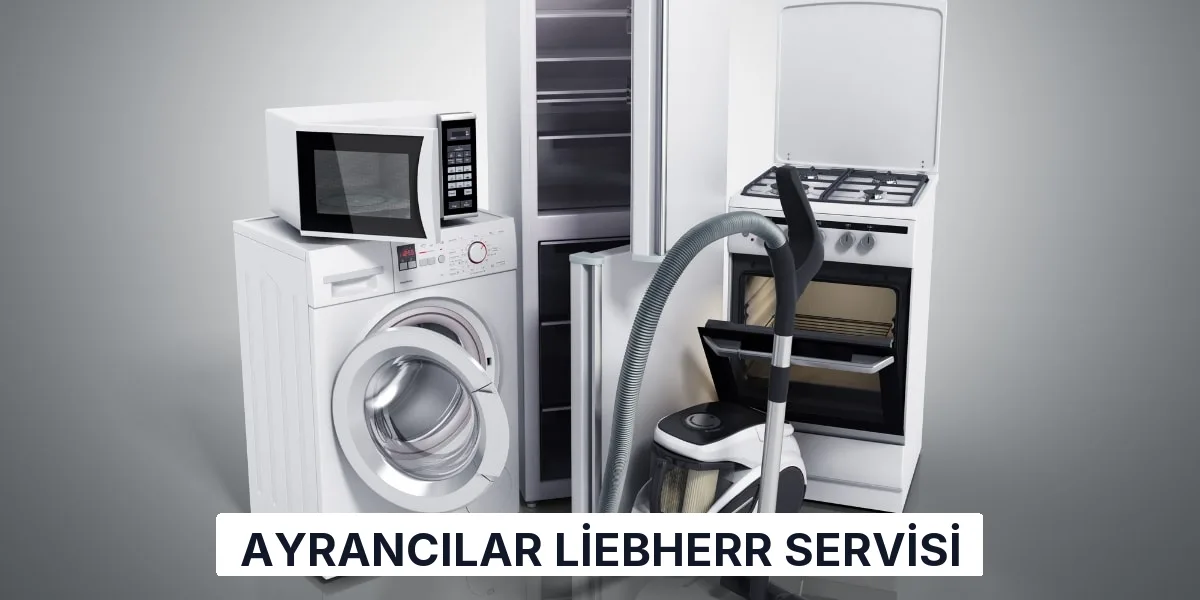 Ayrancılar Liebherr Servisi