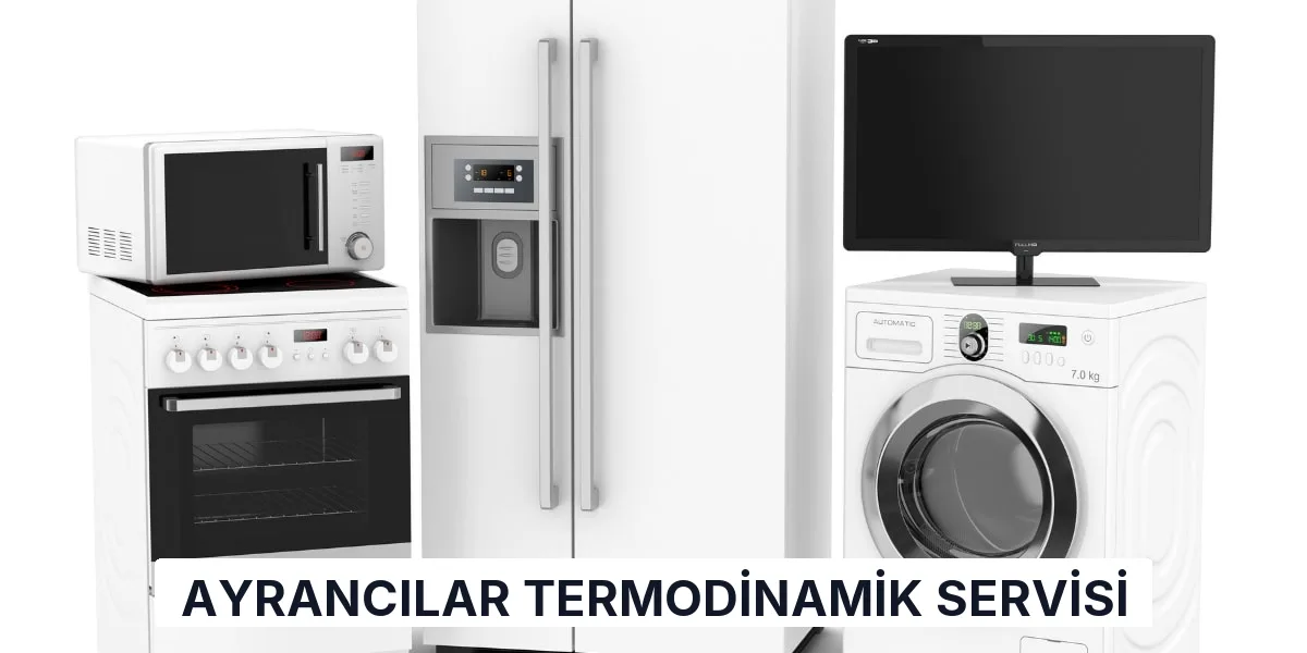 Ayrancılar Termodinamik Servisi