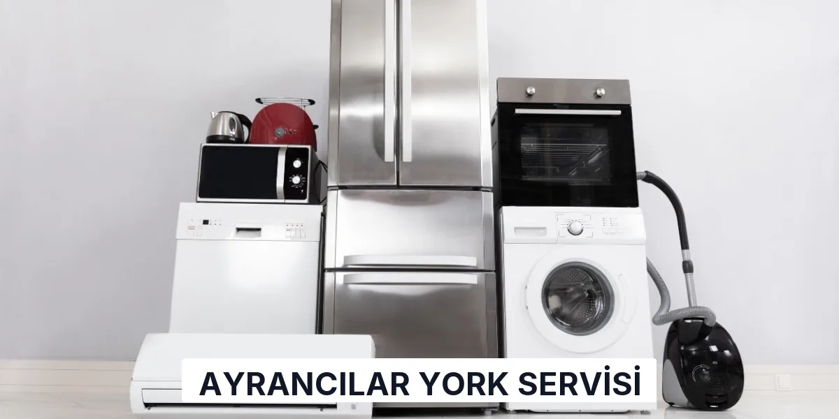 Ayrancılar York Servisi